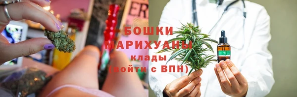метадон Алексин