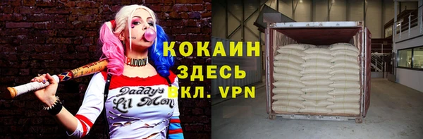 метадон Алексин