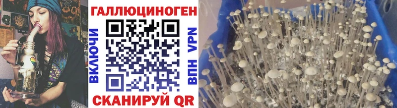 Галлюциногенные грибы ЛСД что такое наркотик Ковылкино